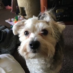 Meet your Posher, Colton